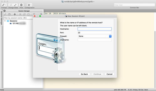 軟件開發(fā) 從概念到實(shí)現(xiàn)的藝術(shù)與科學(xué)